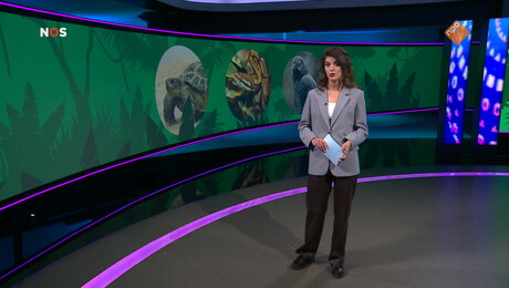 Het NOS Jeugdjournaal | NOS Jeugdjournaal